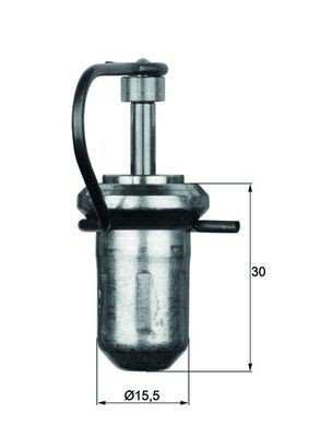 zls-dehnstoffelement-mahle.jpg