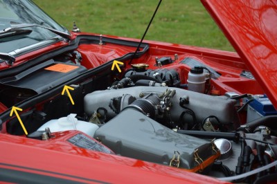 Original Gummi Lippe