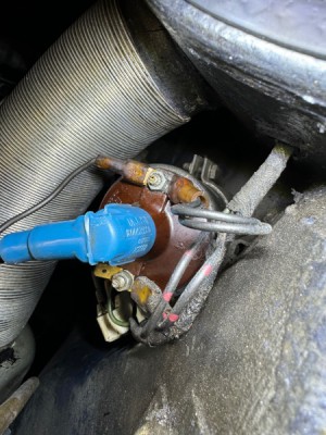 IMG_6773.jpg (135.17 KiB) 3731 mal betrachtet IMG_6773.jpg