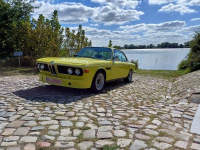 20240914_132012_copy_2000x1500.jpg (164.96 KiB) 3216 mal betrachtet 20240914_132012_copy_2000x1500.jpg